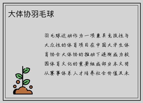 大体协羽毛球