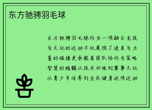 东方驰骋羽毛球